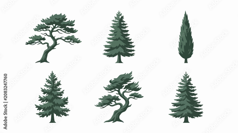 Obraz premium Various evergreen trees collection