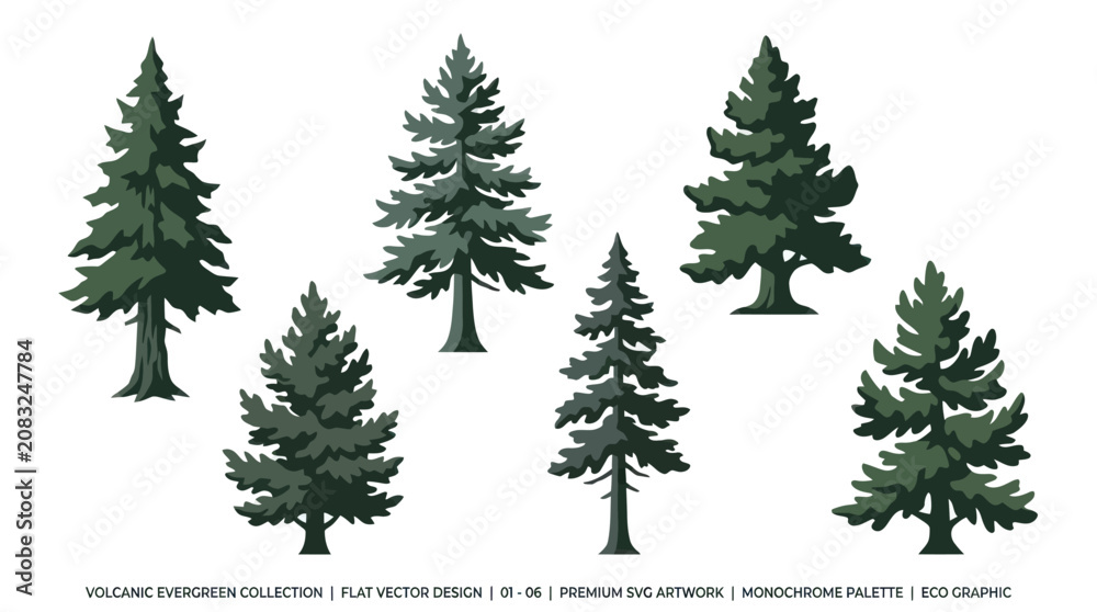 Obraz premium Various evergreen trees flat vector design