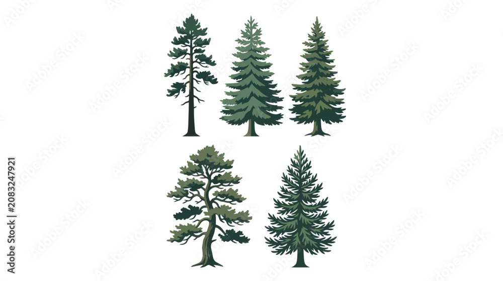 Obraz premium Various evergreen trees isolated
