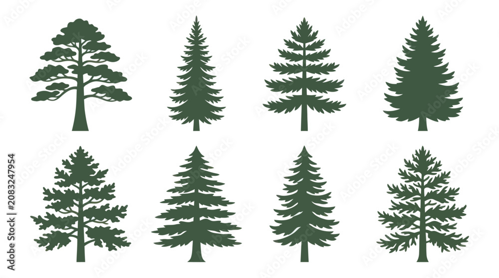 Obraz premium Various evergreen trees silhouettes