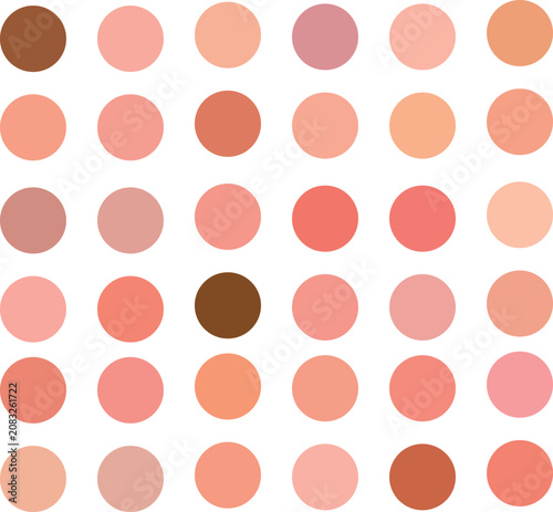 Skin tone color palette circles vector illustration