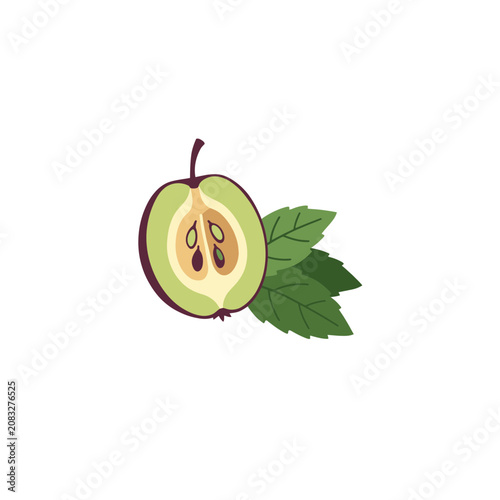 Green apple slice with leaf and stem vector illustration