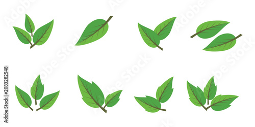Leaf vector symbol, leaf illustration or leaf emoji in flat style. Spring leaf design, ecological nature theme.