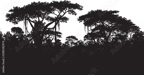 Black silhouette of tall tropical trees in a dense jungle forest landscape isolated on transparent background, Vector