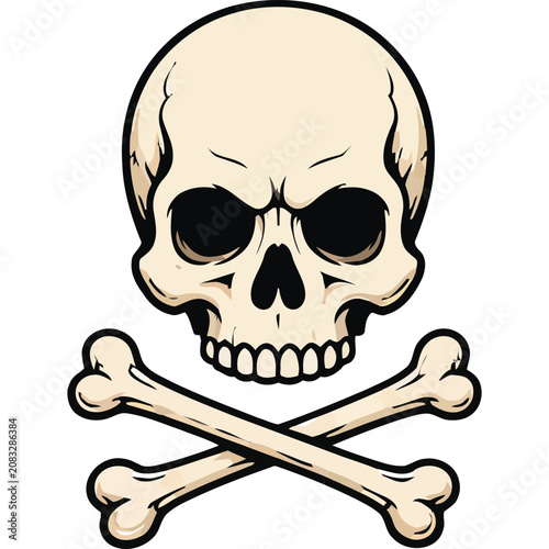 Halloween Skull Illustration