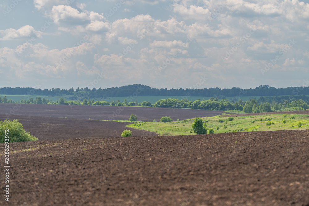 Fototapeta premium Freshly plowed agricultural field under a cloudy sky