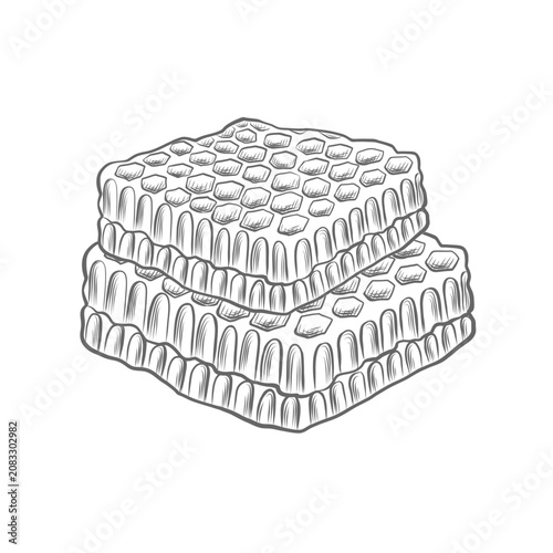 Obraz na płótnie Honeycomb vector graphic illustrations for foodstuffs packaging