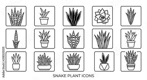Snake plant icon set featuring various potted sansevieria illustrations with decorative patterns for interiors.