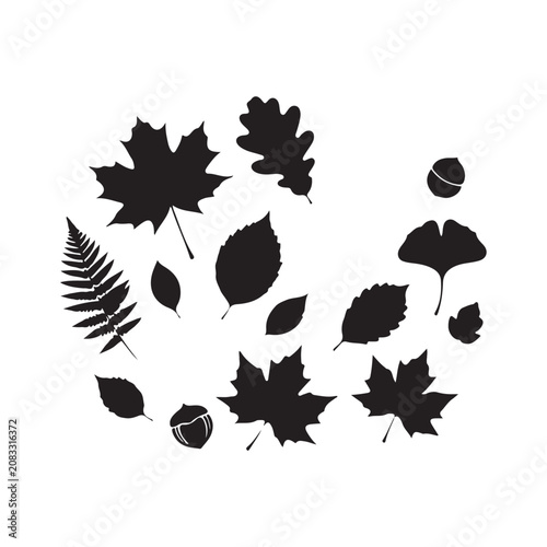 Fall autumn leaves silhouette vector flat illustration design.Adobe Illustrator Artwork