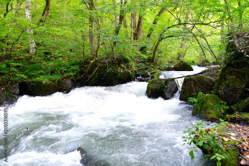 Beautiful rushing water of the Ashura Current in Oirase Mountain Stream