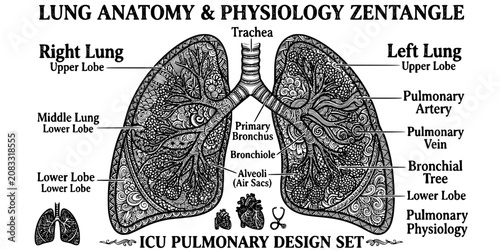 Foto Lung Anatomy Zentangle Black White-Bronchial Tree Alveolar Physiology Pattern-Pu