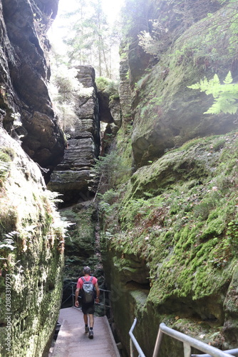 Hiking in the Elbe Sandstone Mountains, descend from Bastei over 777 steps through the gorge-like side valley called Schwedenlöcher, Saxon Switzerland, Germany