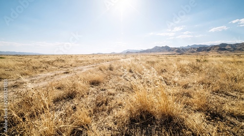 Dry grassland under a bright sunny sky with mountains in the distance