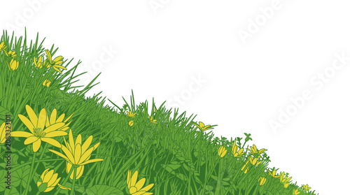 Ilustração vetorial de um campo de grama verde exuberante com flores amarelas silvestres florescendo, isolado em um fundo branco limpo com espaço de cópia para design.