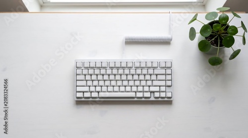 Minimalist White Mechanical Keyboard on White Desk with Green Plant