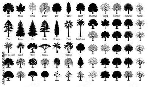 Obraz na płótnie Variety of tree silhouettes oak maple pine palm and more
