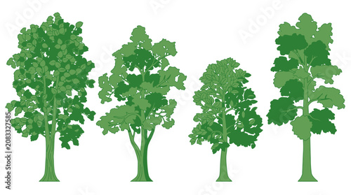 Eine Reihe von vier stilisierten grünen Bäumen mit unterschiedlichen Blattformen und Dichten, isoliert auf weißem Hintergrund, ideal für ökologische und naturbezogene Designs.