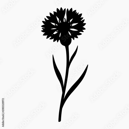 Black silhouette of cornflower with leaves on white background  