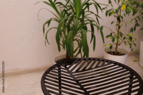 A round black table sits near two green plants in a room with a light floor