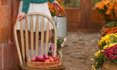 Unrecognizable young woman in a green knitted sweater holding a zinc watering can next to a wooden chair with a basket of red apples in an autumn garden.