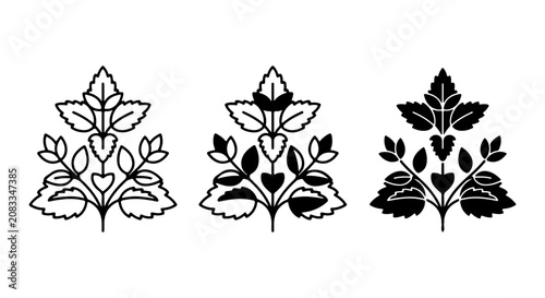 Elegant Floral Ornaments, Decorative Vector Elements, Black and White Botanical Designs, Stylized Leaf Motifs