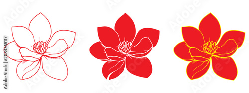 Hand drawn detailed magnolia flower Silhouette icon, logo, symbol, clipart vector illustration. PNG. Editable stroke. Elegant magnolia flower.
