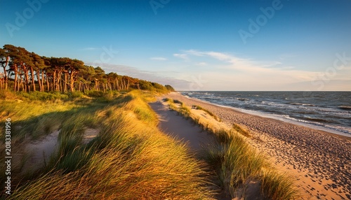 Naturstrand Mit Kustenwald Im Abendlicht Ostsee Mecklenburg Vorpommern Deutschland