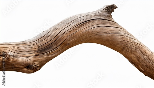 Curved Dry Wood From The Desert Isolated On Transparency Photo Png File