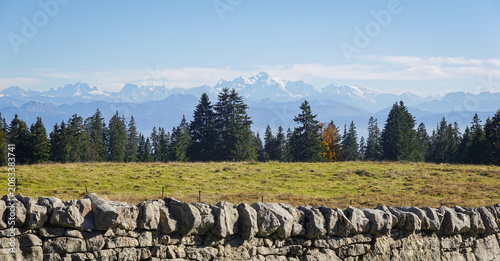 Alpine landscape with green field, pine trees, and snow capped mountains