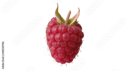 Fotografie Single ripe raspberry with green sepals and stem