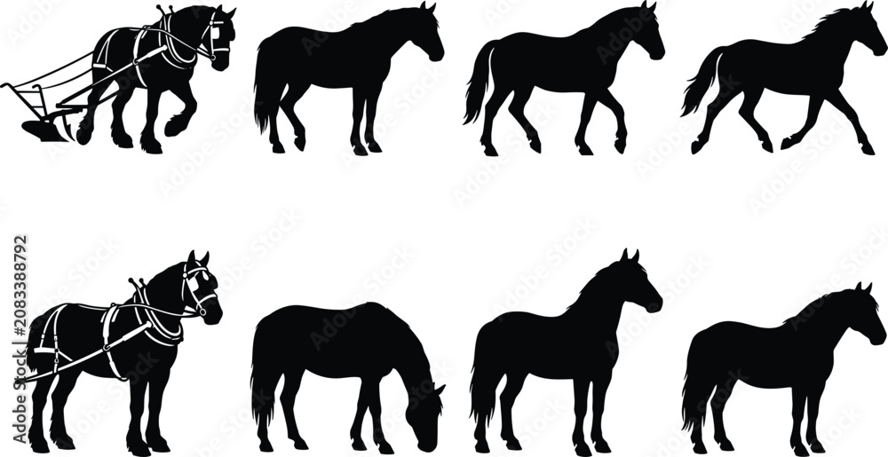 Fototapeta premium Black horse silhouettes in various poses including grazing, walking, trotting, pulling plow, and standing for design use