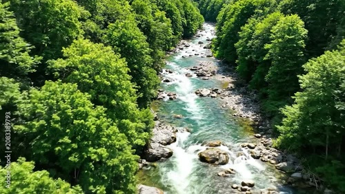 Aerial view of a rocky river flowing through a lush green forest