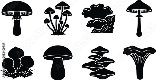 Bild auf Leinwand Black Mushroom Silhouette Collection with Wild Forest Fungi Icons and Botanical