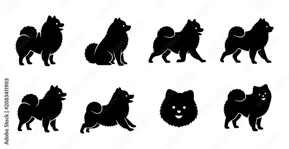 Fototapeta premium Pomeranian Dog Silhouettes, Set of 8 Vector Poses and Head Icon, Black Fluffy Breed Graphics for Pet Lovers and Design Projects