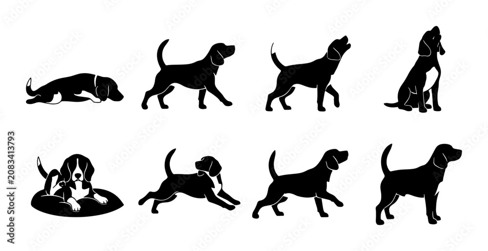 Fototapeta premium Beagle Dog Silhouette Collection, Canine Life Stages Vector Set, Puppy to Adult Poses, Black and White Animal Graphics