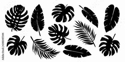Bilde på lerret Black Ink Tropical Leaf Silhouettes On White Background