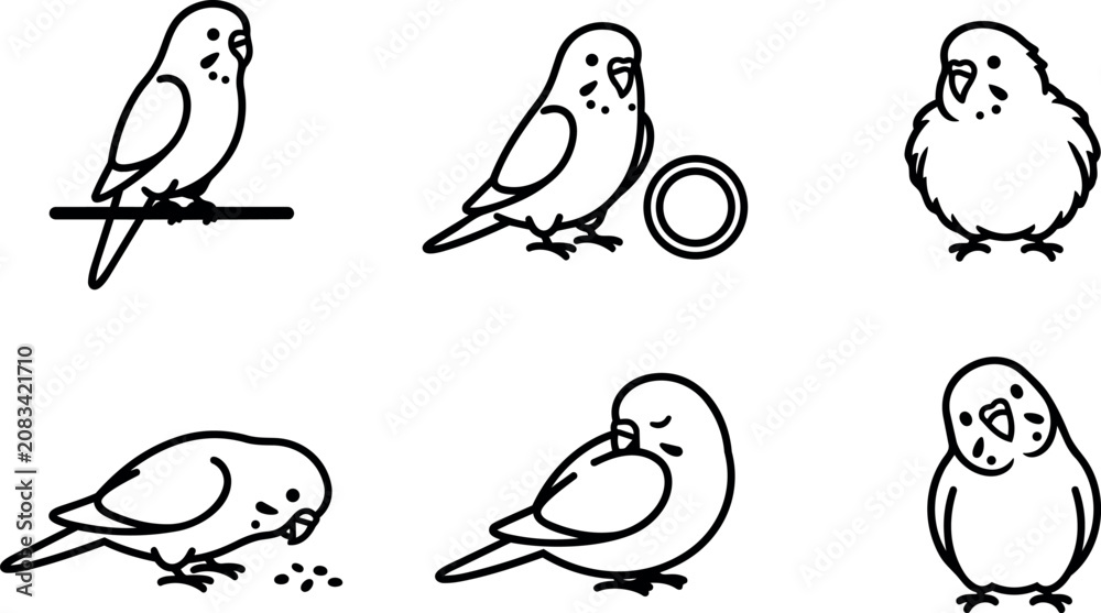 Fototapeta premium Six line art budgerigar parrot poses with seeds and bowl