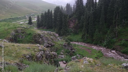 Wide shot of a mountain river flowing through a green valley during rainfall. Misty pine forest landscape suitable for travel, nature background, and conceptual sustainability video projects.