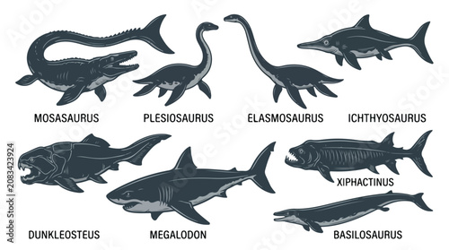 Collection of various prehistoric marine reptiles and dinosaurs illustrations