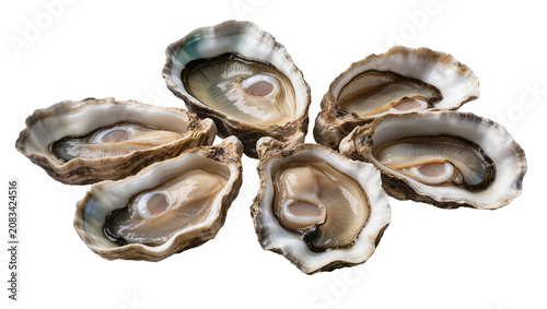 Photography Freshly opened oysters with plump meat and pearly sheen