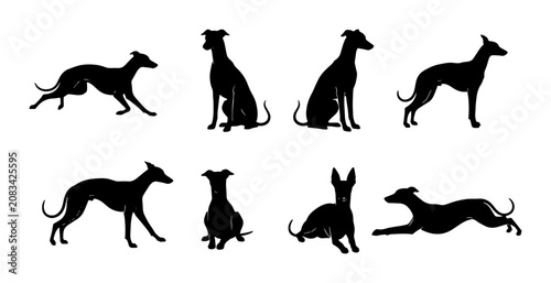 Vászonkép Greyhound Dog Silhouettes, Elegant Canine Poses Vector Set, Athletic Breed Illus