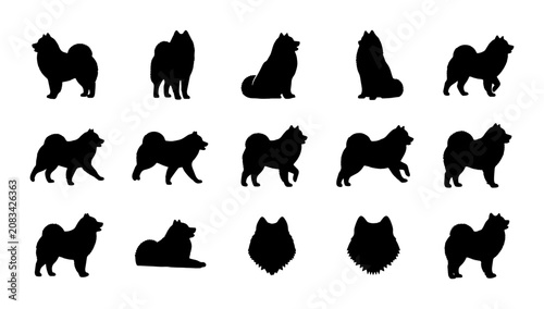 Samoyed Dog Silhouettes, 15 Vector Poses and Headshots, Black and White Canine Graphics for Pet Lovers and Animal Design Projects