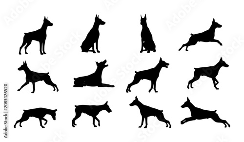 Fotografie Doberman Pinscher Silhouette Collection, 12 Vector Poses, Black Dog Graphics for