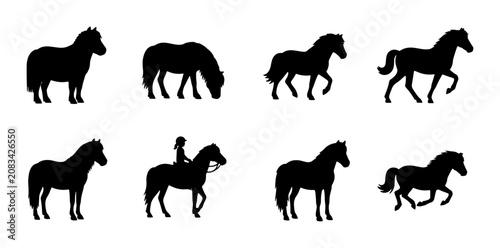 Fotografie Horse Silhouettes Collection: Equestrian Poses, Riding, Grazing, and Galloping V
