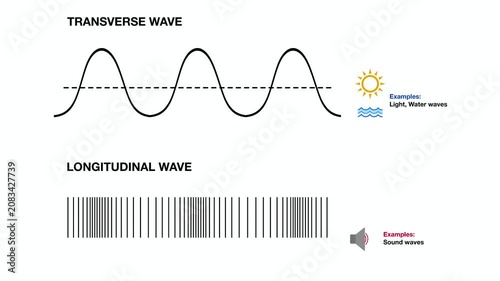 Animation of Educational infographic comparing transverse and longitudinal waves, wavelength, amplitude, compression, rarefaction, and wave propagation direction for physics and science learning