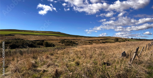 Rolling fields ripple into the distance, as wild plants stir beneath soft, cotton white clouds. A weathered fence runs along the fields edge, lending quiet charm to the landscape in Ilkley, Yorkshire,