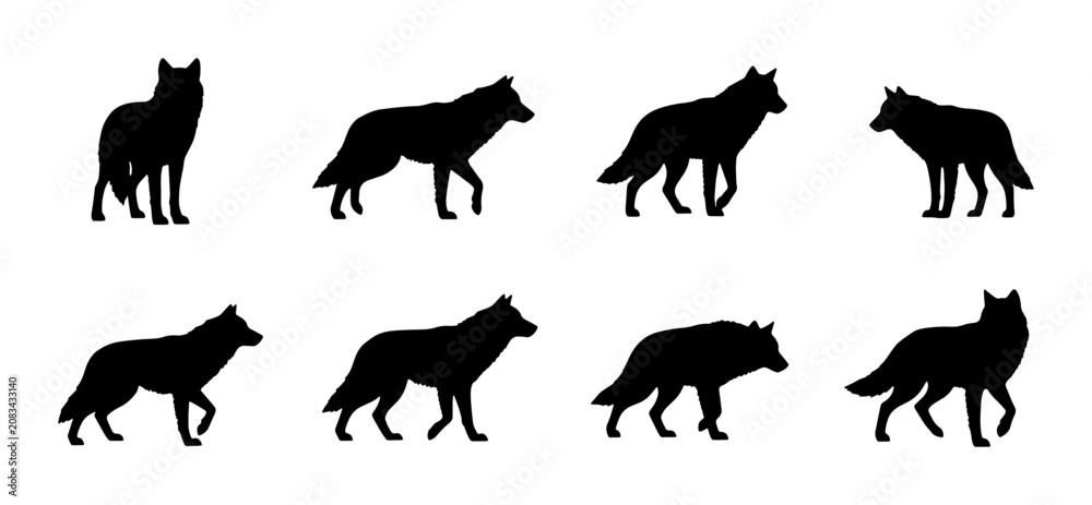 Obraz premium Wolf Silhouettes Collection: Dynamic Poses, Wild Animal Vector Art, Nature Graphics, Canine Movement Studies, Black and White Wildlife Icons