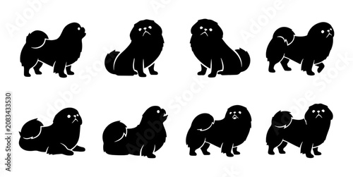 Foto Pekingese Dog Silhouettes, Set of 8 Black Vector Poses, Cute Companion Animal Ic