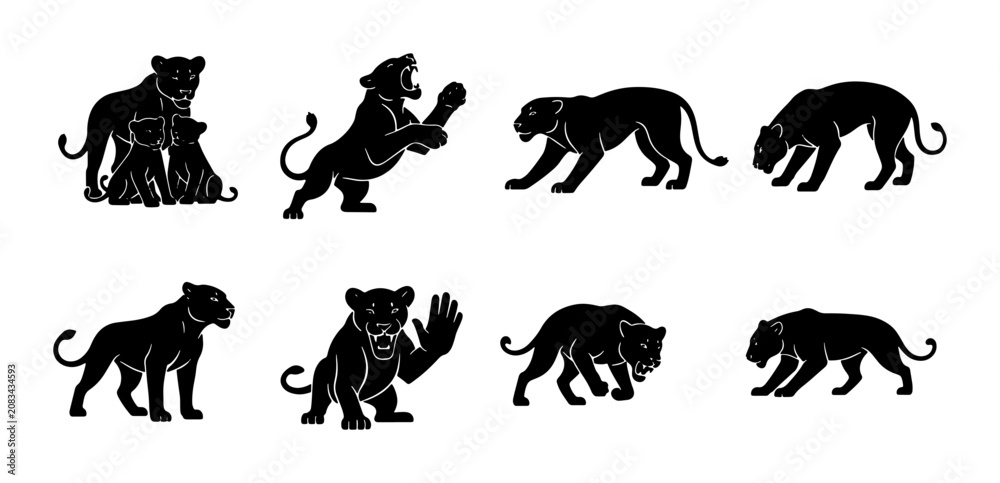 Obraz premium Black Panther Vector Icons Set, Wild Cat Silhouettes in Various Poses, Majestic Feline Graphics for Wildlife and Nature Designs