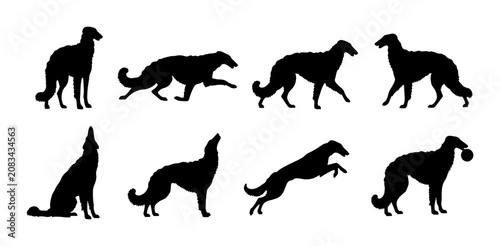 Elegant Borzoi Dog Silhouettes Collection, Set of 8 Vector Poses for Graphic Design, Animal Art, and Pet Branding